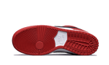 SB Dunk Low Pro Chicago