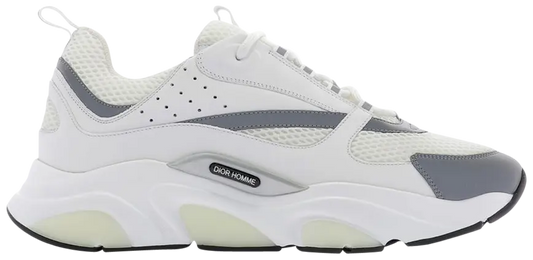 Dior B22 White Grey