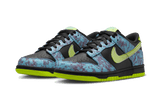Dunk Low Acid Wash