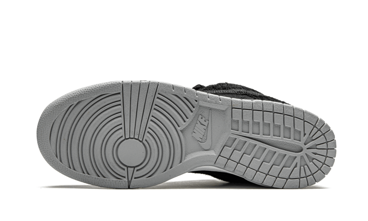 SB Dunk Low Medicom Toy