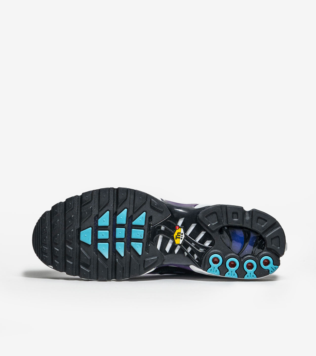 Nike Air Max Plus Reverse Grape